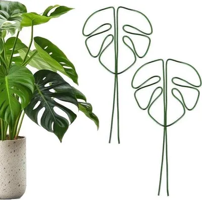 Obrázok produktu pre Opora pre popínavé rastliny Monstera, zelená opora pre rastliny, 2 ks