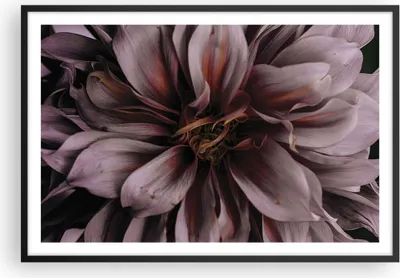 Produktbild von Gerahmtes Poster - Schwarzer Rahmen - Blumenstrauß Künstlerisch Blume - 91,5x61 cm - Wand Bild - Wanddeko - Wandbilder - Kunstposter - Wandposter - Bilderrahmen - Bilder - Kunstdruck - P2BAA91x61-5019