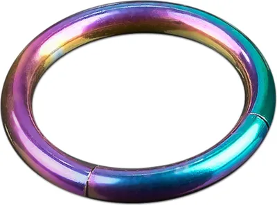 Produktbild von viva-adorno 1,2x8mm Segmentring Piercing Ring Chirurgenstahl in verschiedenen Farben und Größen Z228,Regenbogen