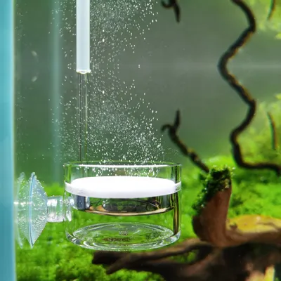 CO2-Diffusor Glas mit U-Rohr, 40 mm, für Aquarien bis 250 l