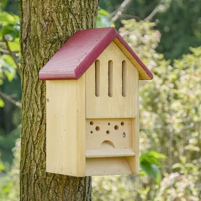 Produktbild von Schmetterlings- und Bienenhotel