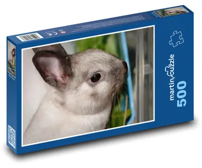 Produktbild von Puzzle 500 Zwergkaninchen - Haustier - martinpuzzle