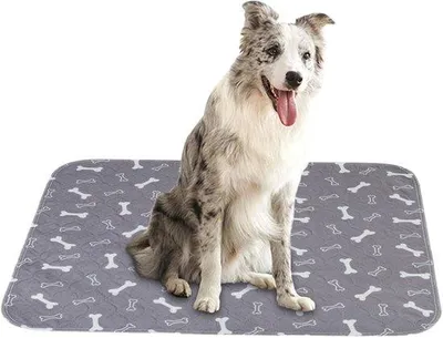 Image de Nourriture pour chiens lavable, tapis de sol en plastique pour chiens, coussinets très absorbants pour chiots, tapis de sol imperméable pour chats