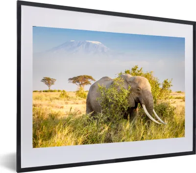 Produktbild von MuchoWow® MuchoWow® Gerahmtes Poster Elefant - Tiere - Gras - Grün - Berg 60x40 cm - Poster mit zchwarzem Bilderrahmen - Schlafzimmer - Plakat in Rahmen - Drucken