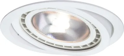 Zdjęcie produktu dla Oprawa wpuszczana oczko Nero LP-4424/1RS WH ruchome Light Prestige