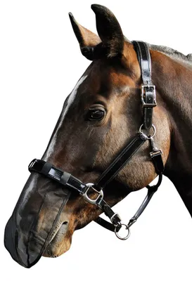 Produktbild von Pferde Nasenfliegenschutz  Fliegen Nüsternschutz Insektenmaulnetz schwarz Warmblut