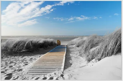 Produktbild von Wallario Wandbild Auf dem Holzweg zum Strand in schwarz-weiß Optik, Größe: 61 x 91,50 cm, Poster mit weißem Aluminiumrahmen