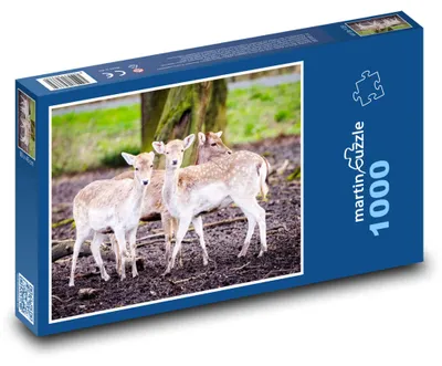 Zdjęcie produktu dla martinpuzzle - Puzzle 1000 elementów - Daněk