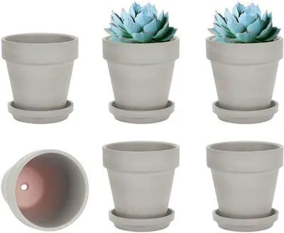 Produktbild von Famanu Terracotta Blumentöpfe Set von 6 - Grau, 10,16 cm mit Untersetzer und Drainageloch