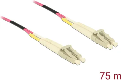 Image de Delock Kabel Lichtwellenleiter LC Duplex Multimode OM4 75 m (80156)