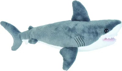 A plush toy shark against a white background.