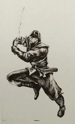 Produktbild von Ninjatuch