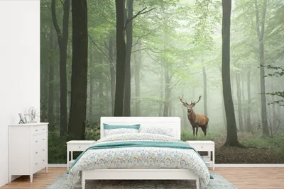 Produktbild von Fotobehang Bomenwand 525 cm x 350 cm