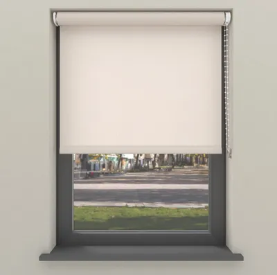 A roller blind is shown covering most of a window, with a view of a street and trees visible through the lower part of the window.