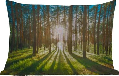 Produktbild von MuchoWow® Outdoor Kissen - Sonne - Bäume - Landschaft - Gras - 60x40 cm - Wetterfest - Lounge Kissen - Zierkissen - Kissen für Innenräume