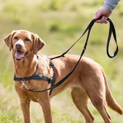 Produktbild von TRIXIE Trainingsgeschirr Lead'n'Walk Soft - schwarz - 55–90 cm/25 mm