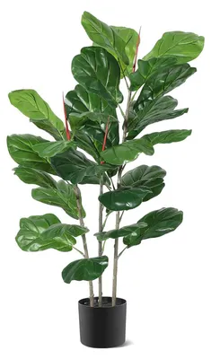 Obrázok produktu pre Umelý strom Ficus lyrata – figovník lyrovitý – izbová rastlina v čiernom kvetináči – 99 cm – realistické listy – sada 2 ks