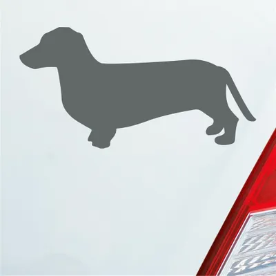 Produktbild von Auto Aufkleber Dackel Dog Hund Tiefergelegt 10x5 cm Grau Sticker Heckscheibenaufkleber