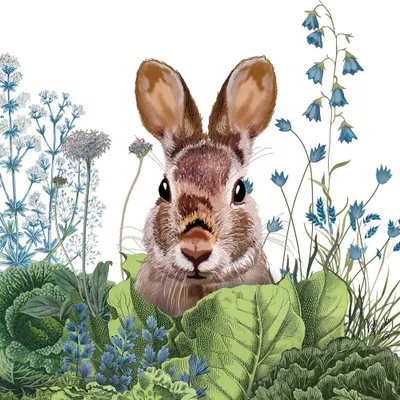 Produktbild von 20 Servietten Chou Chou Bunny - Hase im Gartenfeld 33x33cm