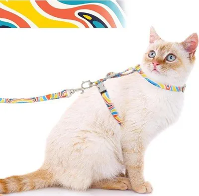 Productafbeelding van Famanu kattenharnes, verstelbaar en breukbestendig - lichtgewicht ontwerp met regenboogmotief, maat S