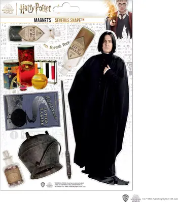Zdjęcie produktu dla Magnesy Harry Potter Severus Snape