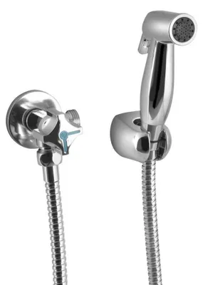 Produktbild von WC-Handbrause mit Doppelventil und Spülkasten-Wasseranschluss, Chrom
