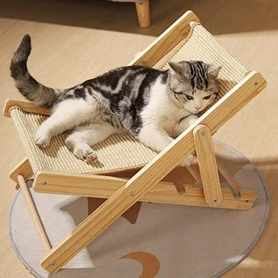 Image de Lit pour petits chats en sisal avec un poteau à griffer en bois