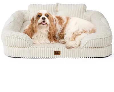 Immagine prodotto di Cuccia ortopedica per cani, taglia media, 91x68 cm, color beige