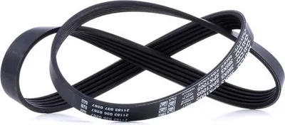 Produktbild von DAYCO Keilrippenriemen 1005,0mm für BMW 5 Limousine (E39) 5PK1005