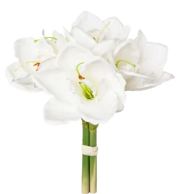Produktbild von Künstliche Amaryllis 32cm | Bund mit 3 Kunstblumen Weiß
