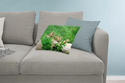 Produktbild von MuchoWow® Zierkissen Sofakissen Wohnzimmer Dekokissen 60x40 cm Pfau - Vögel - Gras - Kopfkissen - Polster mit Foto
