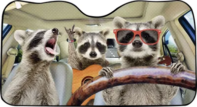 Produktbild von OKCars Frontscheibensonnenschutz Waschbär