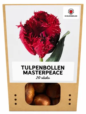 Productafbeelding van Tulpenbollen 'Masterpiece' | 20 Stuks | Rode Tulp met Kartelrand - 30-50cm - Ø5cm - Bloembol - Tuinplant