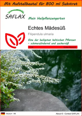 Produktbild von SAFLAX - Garden in the Bag - Heilpflanzen - Echtes Mädesüß - 500 Samen - Mit Anzuchtsubstrat im praktischen, selbst aufstellenden Beutel - Filipendula ulmaria