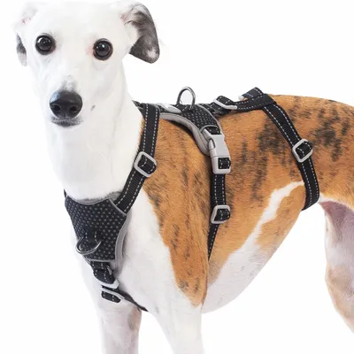 Image de Harnais réfléchissant pour chiens de grande taille, anti-traction