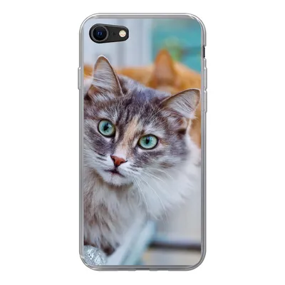 Produktbild von MuchoWow® Handyhülle Schutzhülle Hülle für iPhone SE 2020 Katze - Fenster - Katzen Silikon Softcase Handy Hülle - Kartenbesitzer