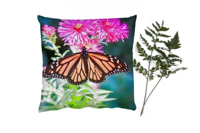 Produktbild von MuchoWow® Zierkissen Sofakissen Wohnzimmer Dekokissen 45x45 cm Schmetterling - Botanisch - Blume - Schlafpolster - Polster für das Sofa