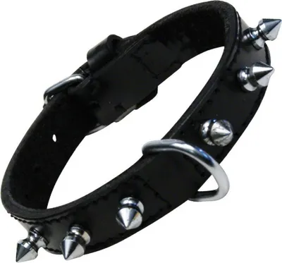 Image de Collier de chien Gloria noir à pointes (50 cm)