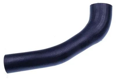 Image de EBG Durite d'air de suralimentation Audi VW 028145832