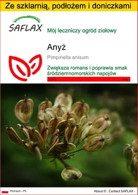 Zdjęcie produktu dla SAFLAX - Zestaw do uprawy - Anyż - 200 Nasiona - Z mini szklarnią, podłożem uprawowym i 2 doniczkami - Pimpinella anisum