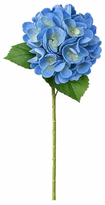 Produktbild von G.blümt Künstliche Hortensien 64 cm lang, Kunstblumen Real Touch wie echt, Blau 1 Stück