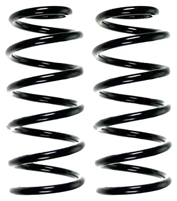 Produktbild von Fahrwerksfedern-Set Hinterachse Schraubenfeder Ø107mm SPIDAN für u.a. MINI