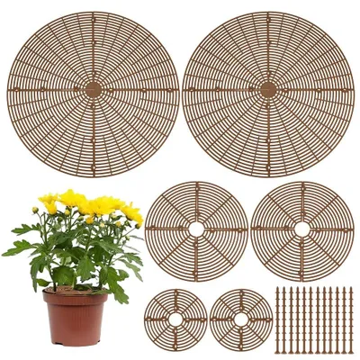 Immagine prodotto di Solidchoice - Set di 6 vasi per piante a forma di gallo, per la protezione degli animali, diametro 19 cm