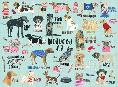 Produktbild von Hot Dogs A-Z 1000 Teile Puzzle