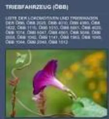 Produktbild von Triebfahrzeug (ÖBB)