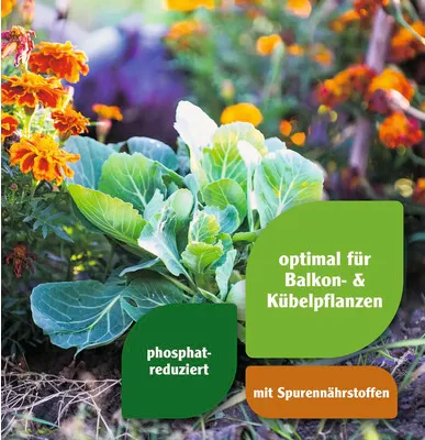 Produktbild von Blaudünger Spezial FloraSelf 10 kg