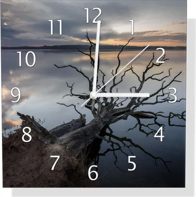 Produktbild von Wallario Design Wanduhr Baum im Abendlicht aus Echtglas, Größe 30 x 30 cm
