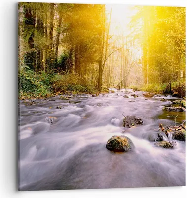 Produktbild von Bild auf Leinwand - Leinwandbild - Herbst Wald Berg Fluss - 70x70cm - Wand Bild - Wanddeko - Leinwanddruck - Bilder - Kunstdruck - Wanddekoration - Leinwand bilder - Wandkunst - AC70x70-0504