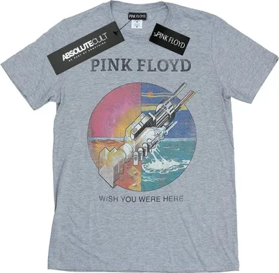 Image de Pink Floyd - "Wish You Were Here" T-shirt pour fille BI50987 (104) (Gris Sport)