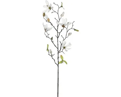 Produktbild von Mica künstliche Magnolia weiß, 75 cm